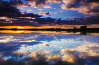 Wetlands At Sunrise, Bosque Del Apache National Wildlife Refuge, New Mexico | Obraz na stenu