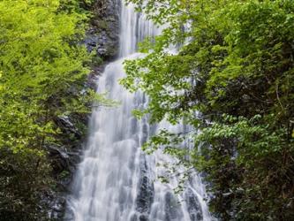 Mingo Falls, North Carolina | Obraz na stenu