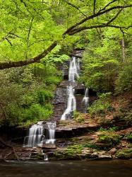 Tom Branch Falls, North Carolina | Obraz na stenu