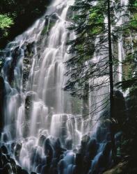 Ramona Falls Landscape, Oregon | Obraz na stenu