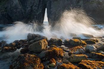 Ocean Spray On Rocky Coastline, Oregon | Obraz na stenu