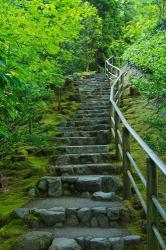 Summer Staris In The Portland Japanese Garden, Oregon | Obraz na stenu