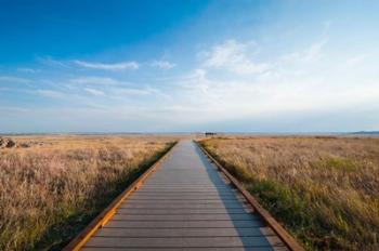 Walkway Going Through The Badlands National Park, South Dakota | Obraz na stenu