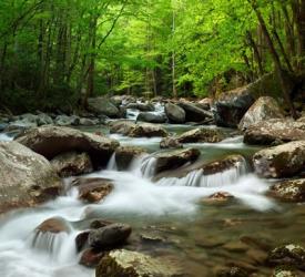 Little Pigeon River At Greenbrier | Obraz na stenu