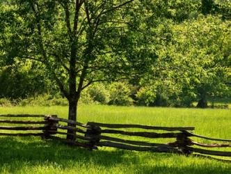 Old Wooden Fence In Cades Cove | Obraz na stenu