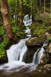 Cascade Along The Little River | Obraz na stenu