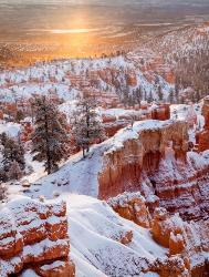 Sunrise Point After Fresh Snowfall At Bryce Canyon National Park | Obraz na stenu