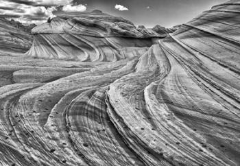 Second Wave Zion National Park Kanab, Utah (BW) | Obraz na stenu