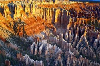 Sunrise At Bryce Point Bryce National Park, Utah | Obraz na stenu