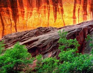 Escalante Neon Canyon, Utah | Obraz na stenu