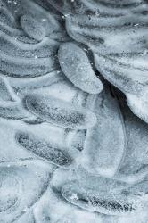 Frozen Ice Designs | Obraz na stenu