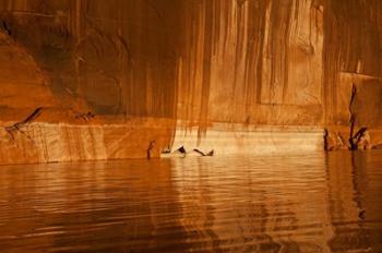 Glen Canyon National Recreation Area Tapestry Wall, Utah | Obraz na stenu