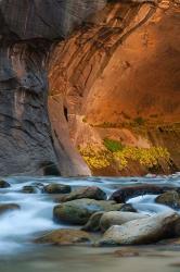 Autumn Foliage Inside The Narrows, Utah | Obraz na stenu