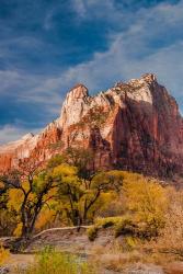 Autumn Foliage In Front Of The Sentinel, Utah | Obraz na stenu