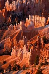 Sunrise Point Hoodoos In Bryce Canyon National Park, Utah | Obraz na stenu