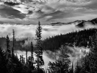 Olympic National Park, Washington (BW) | Obraz na stenu