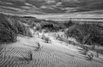 Long Beach, Washington (BW) | Obraz na stenu