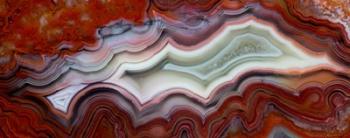 Mexican Crazy Lace Agate I | Obraz na stenu