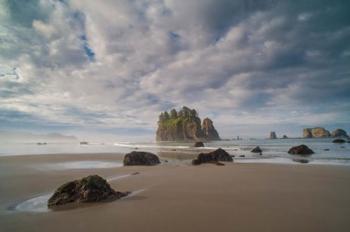 Early Morning Mist And Sea Stacks On Second Beach | Obraz na stenu