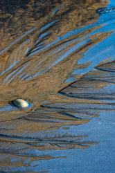 Sand And Water Detail On Ruby Beach | Obraz na stenu