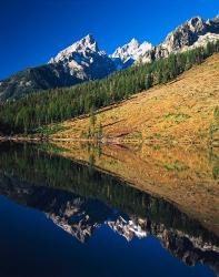 Cathedral group reflecting in String Lake, Grand Teton National Park, Wyoming | Obraz na stenu