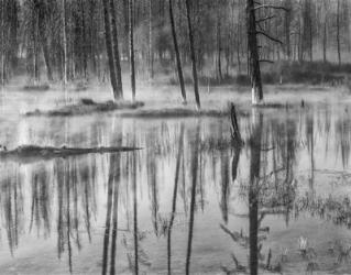 Mistry Creek, Wyoming (BW) | Obraz na stenu