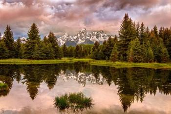 Schwabacher Landing, Panorama, Wyoming | Obraz na stenu