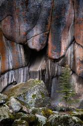 Lichen On Cliff Walls With Single A Tree In The Lamar River Gorge | Obraz na stenu