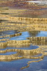 Mineral Deposit Formation, Yellowstone National Park | Obraz na stenu