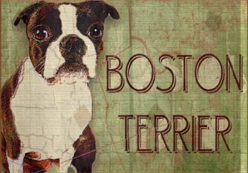 Boston Terrier | Obraz na stenu