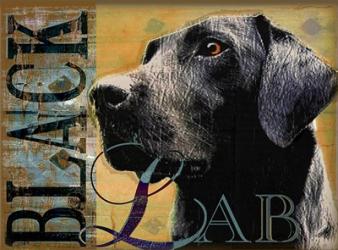 Black Lab | Obraz na stenu