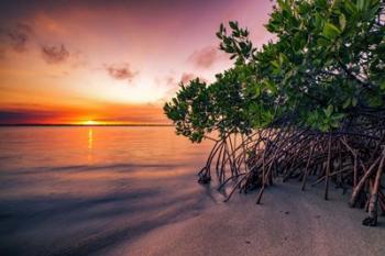 Sunset Over the St. Lucie River | Obraz na stenu