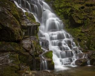 Eastatoe Falls Stairway | Obraz na stenu