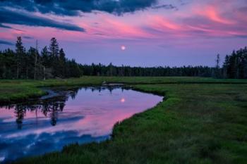 Moon Over Bass Harbor Marsh | Obraz na stenu