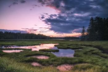 Sunset at Bass Harbor Marsh | Obraz na stenu