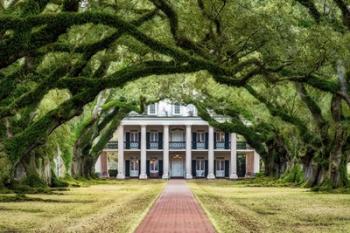 Oak Alley Plantation | Obraz na stenu