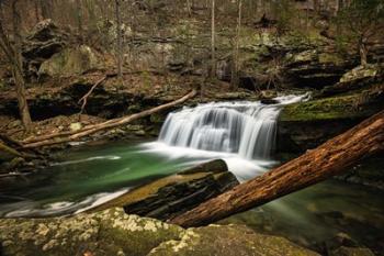 Tumbling down Daniel Creek | Obraz na stenu