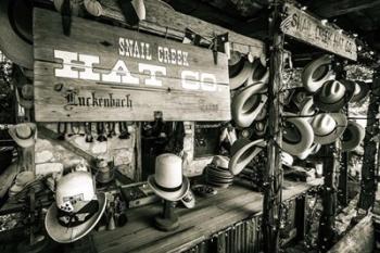 Snail Creek Hat Company | Obraz na stenu