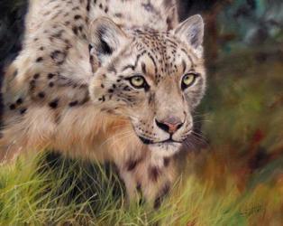 Snow Leopard 4 | Obraz na stenu