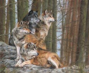 Four Wolves | Obraz na stenu