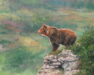 European Brown Bear | Obraz na stenu