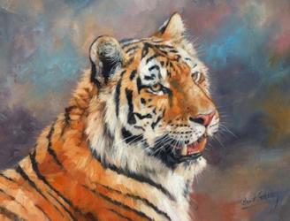 Tiger On Crushed Colors | Obraz na stenu