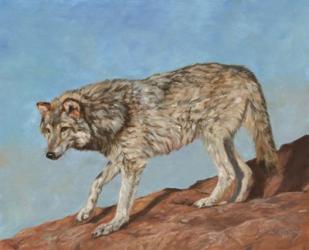 Red Rock Wolf | Obraz na stenu