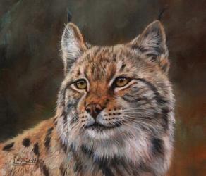 Eurasian Lynx | Obraz na stenu