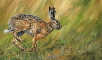 Wild Hare Running | Obraz na stenu