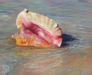 Conch Shell | Obraz na stenu