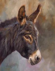 Donkey | Obraz na stenu