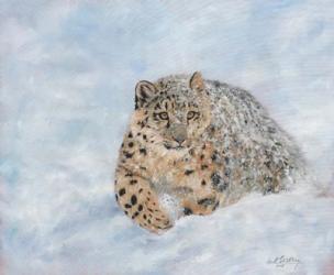 Snow Leopard Final | Obraz na stenu