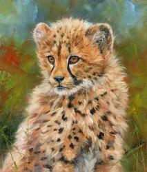 Cheetah Cub 3 | Obraz na stenu