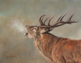 Red Deer Stag | Obraz na stenu